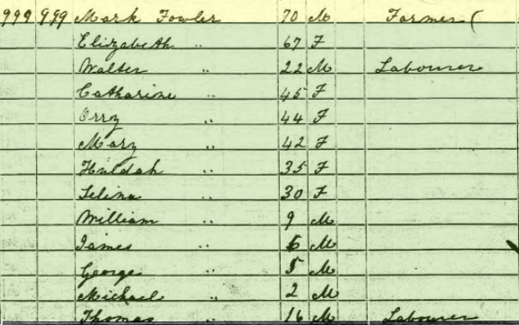 mark fowler census 1850.png