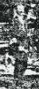 Screen Shot 2019-08-03 at 12.21.28 PM.png